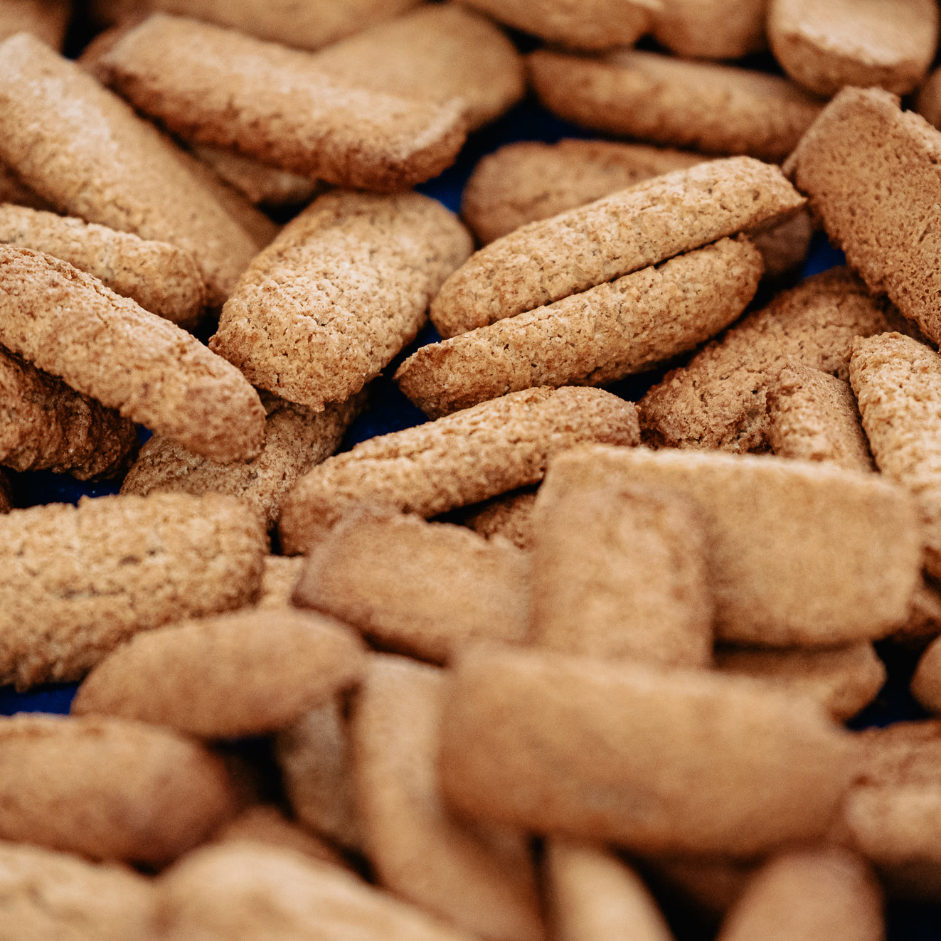 BiscoGhiotti Arcafarm 5 Kg – 5 Confezioni Da 1 Kg Di Biscotti Alla Carota Per Cavalli, 100% Naturali E Artigianali